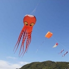 120908_grc_0627