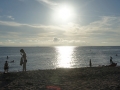 SONY DSC