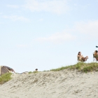 130097_grc_0728