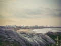 1Y9A6343_.jpg